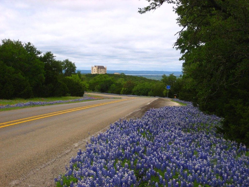 The Bluebonnet Has Been State Flower Since 1901, Texas