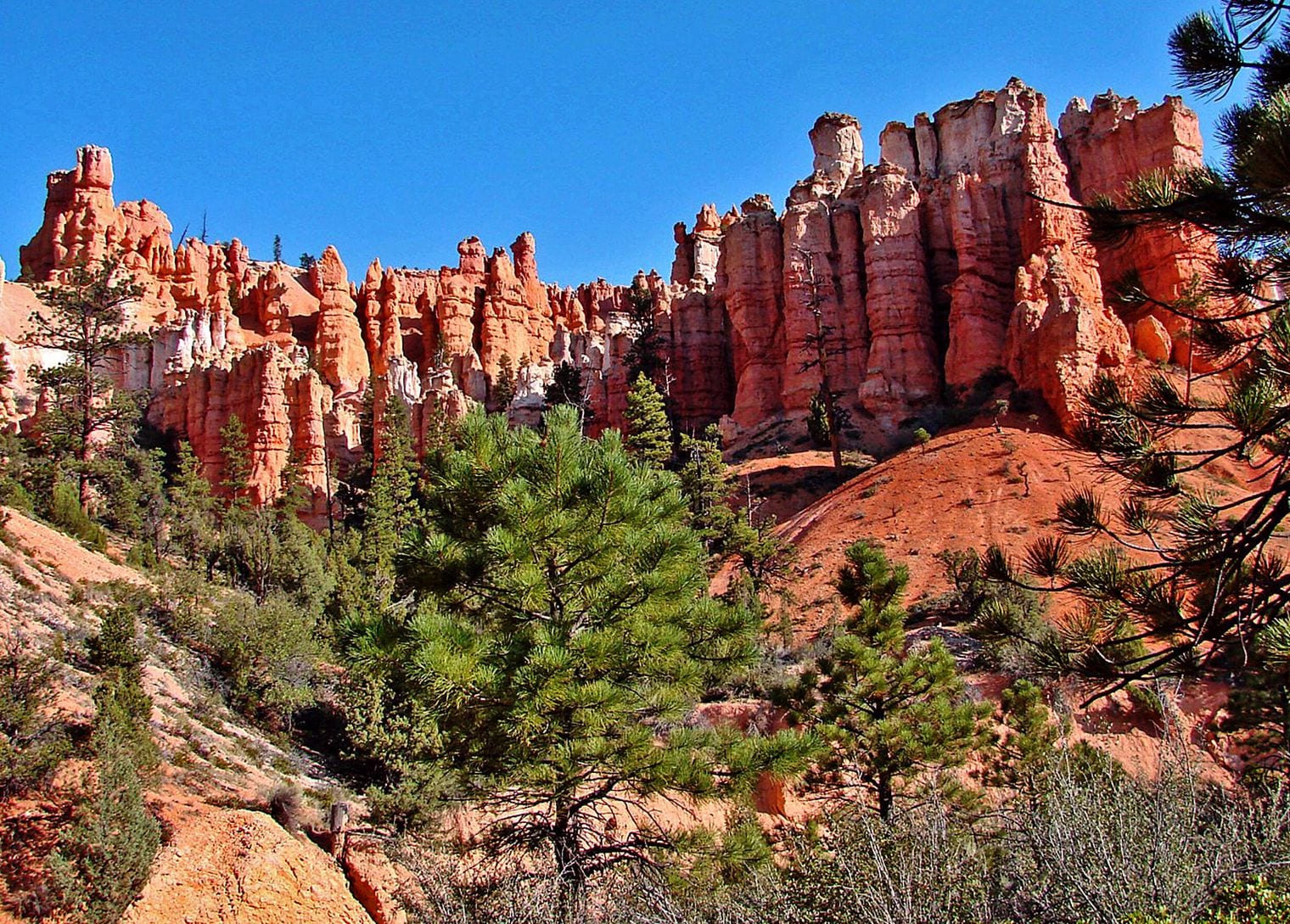 Bryce Claims the Largest Hoodoo Collection on Earth, Utah
