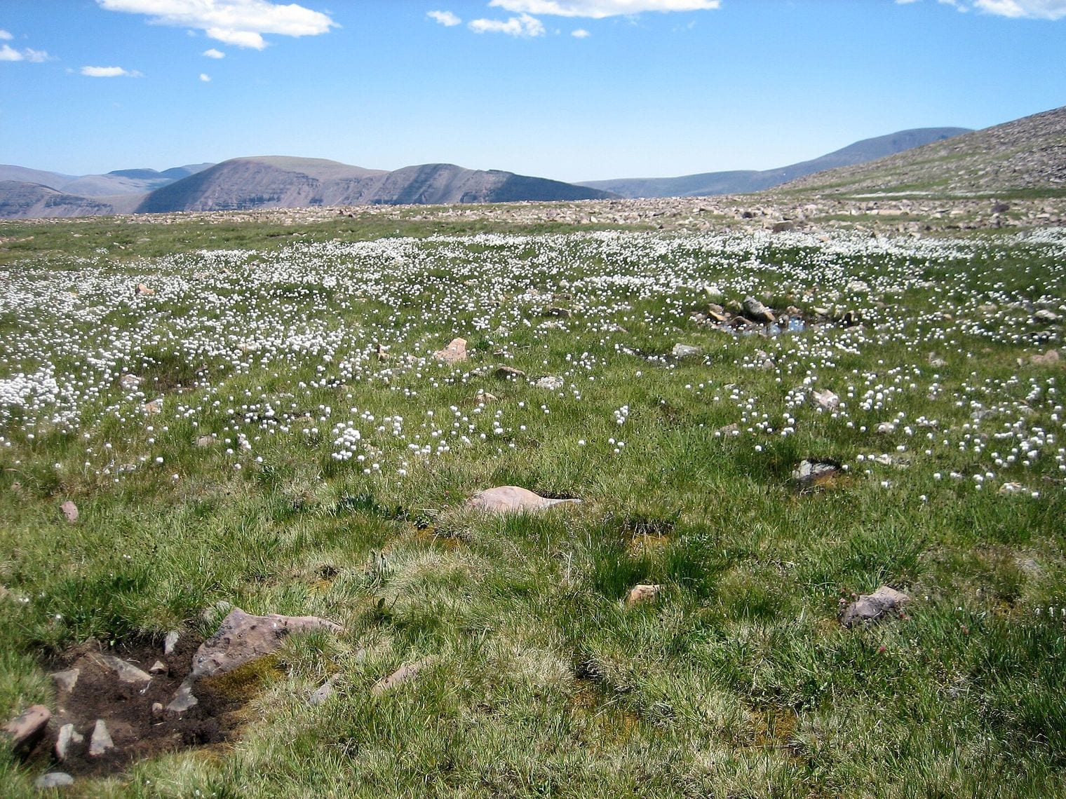 The Uintas Are the Highest East-West Range in the US, Utah