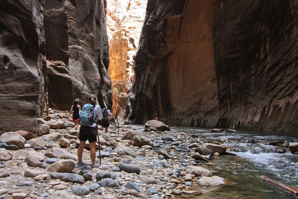 The Narrows Runs Just 20 Feet Wide in Places, Utah