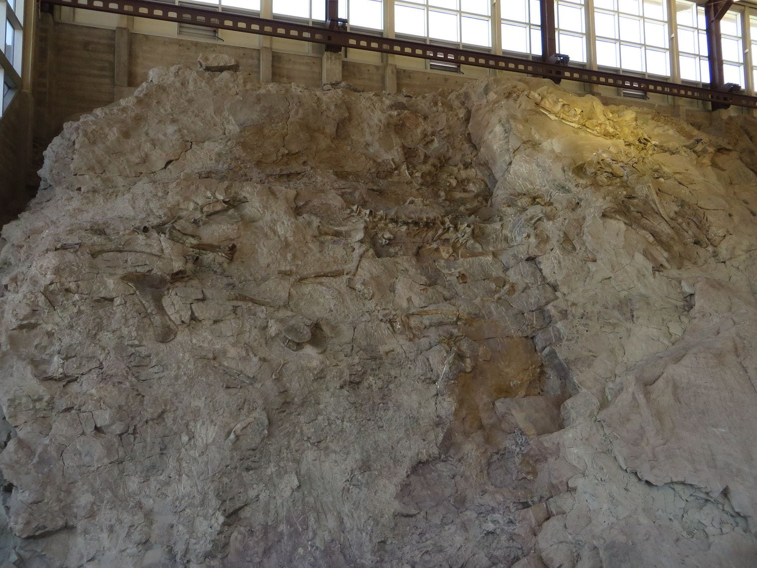 A Cliff of 1,500 Dinosaur Bones Is Left in the Rock, Utah