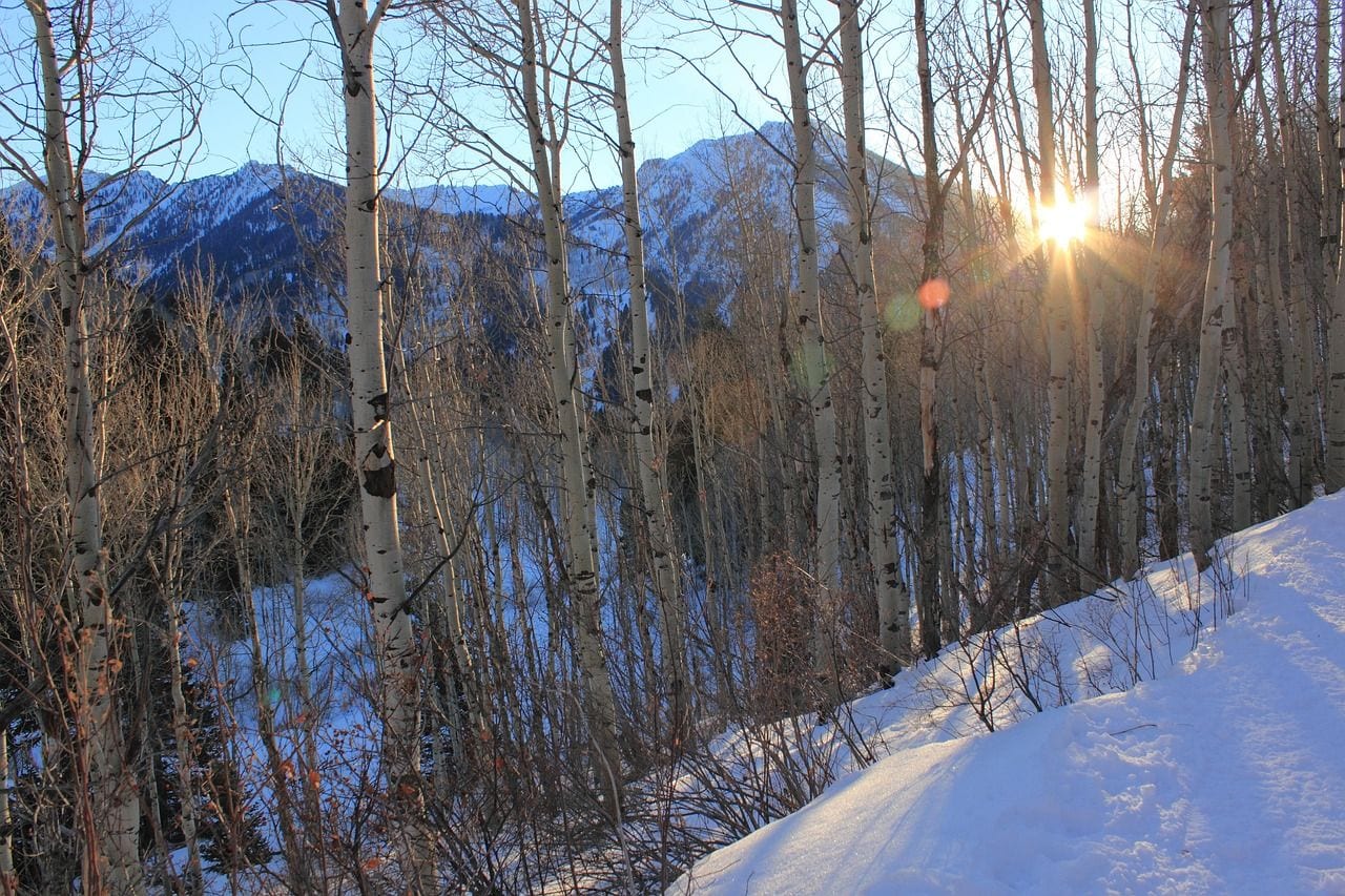 Alta Has Been Running Since 1939, Utah