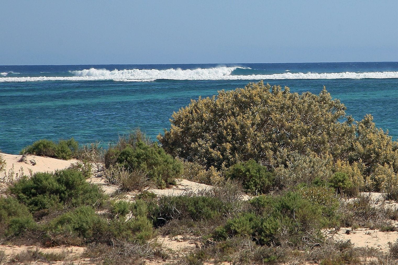 Ningaloo Reef, World
