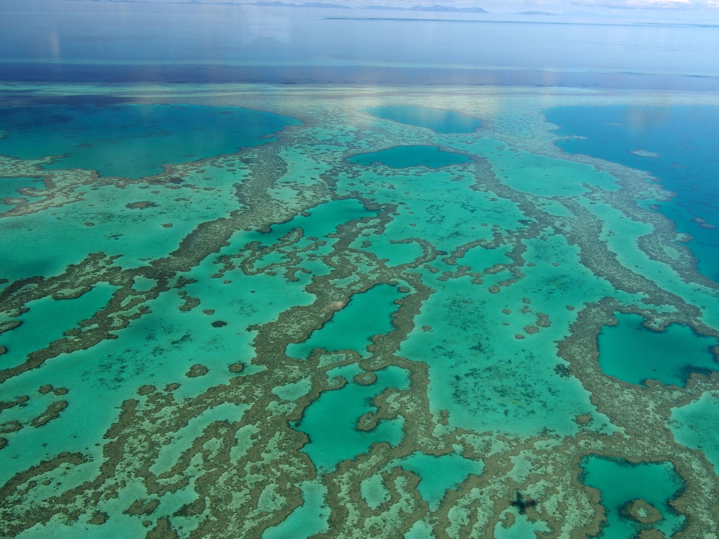 Aerial view of Hardy Reef's turquoise lagoons and coral ridges in the Great Barrier Reef off the Whitsunday coast of Queensland, Australia