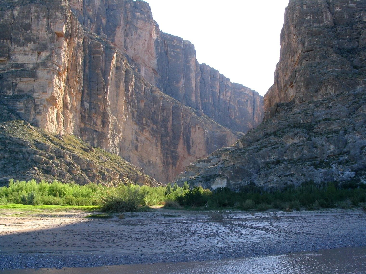 Chihuahuan Desert, World