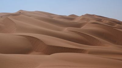 Arabian Desert