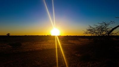 Kalahari Desert