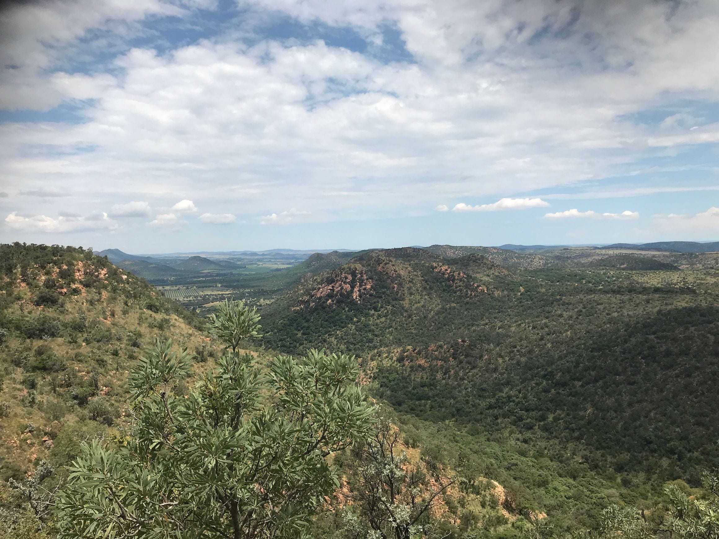 Wooded ridges of the Vredefort Dome, the eroded heart of the world's largest impact structure, near Venterskroon in South Africa