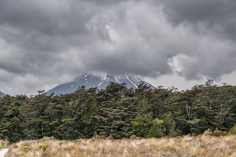North Island