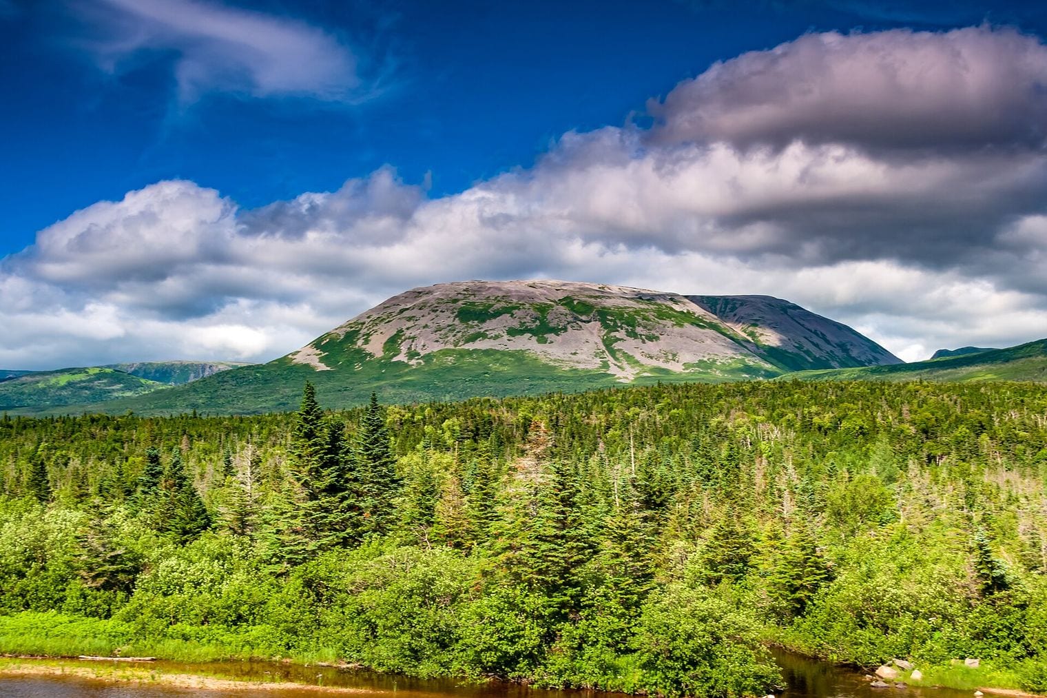 Newfoundland, World
