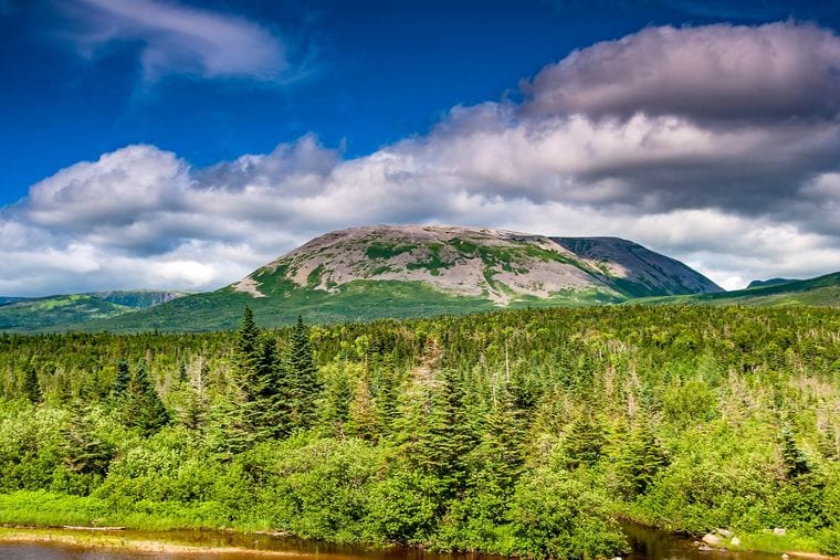 Newfoundland