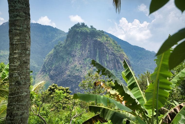 New Guinea