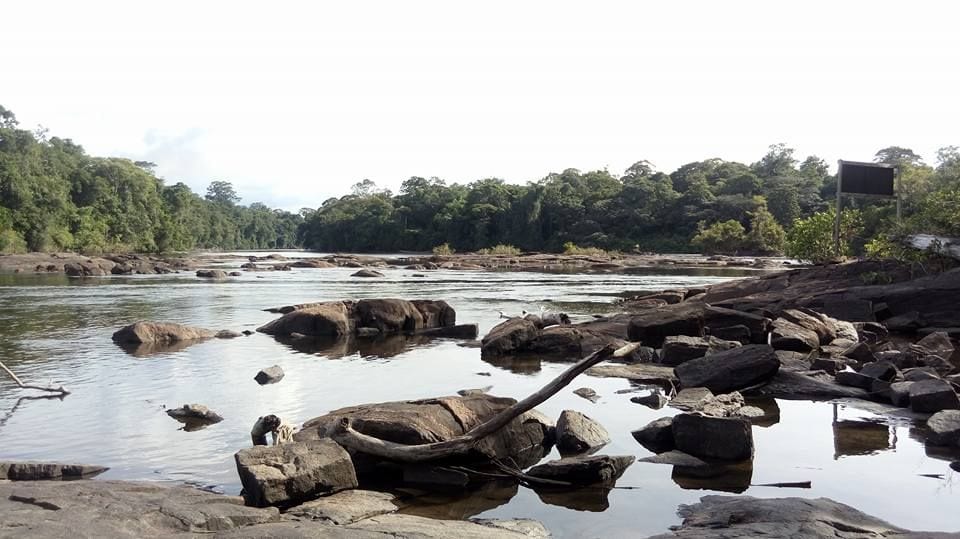 Montanhas do Tumucumaque National Park, World