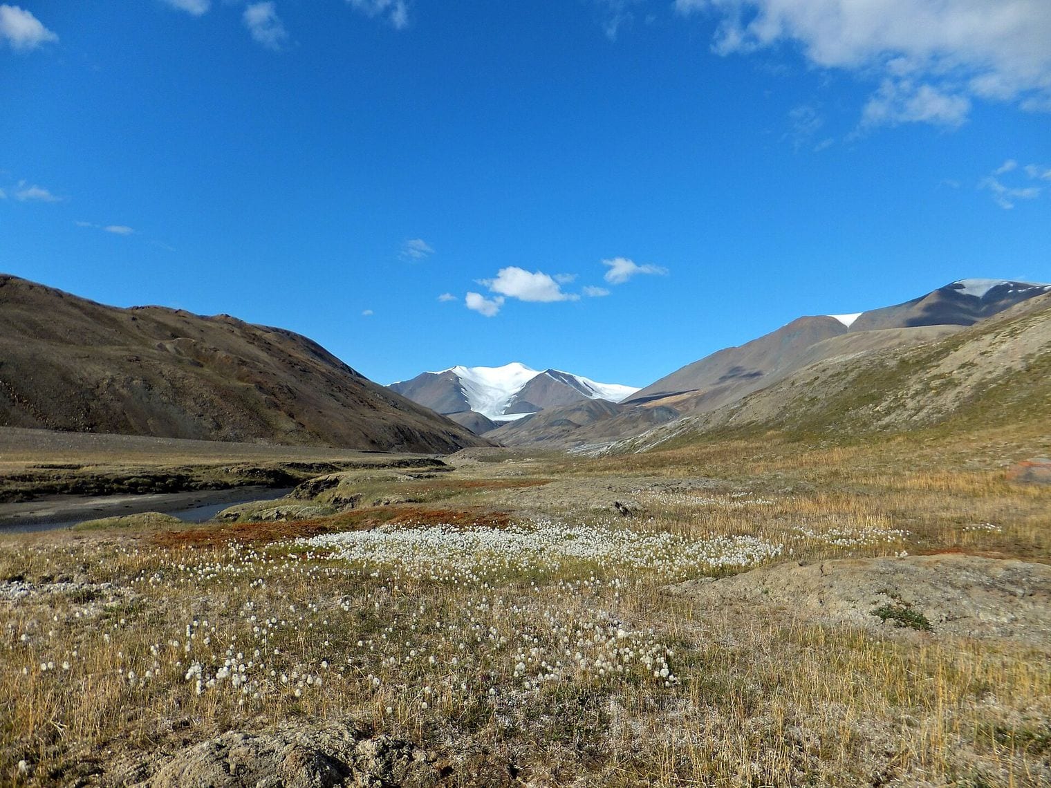 Quttinirpaaq National Park, World