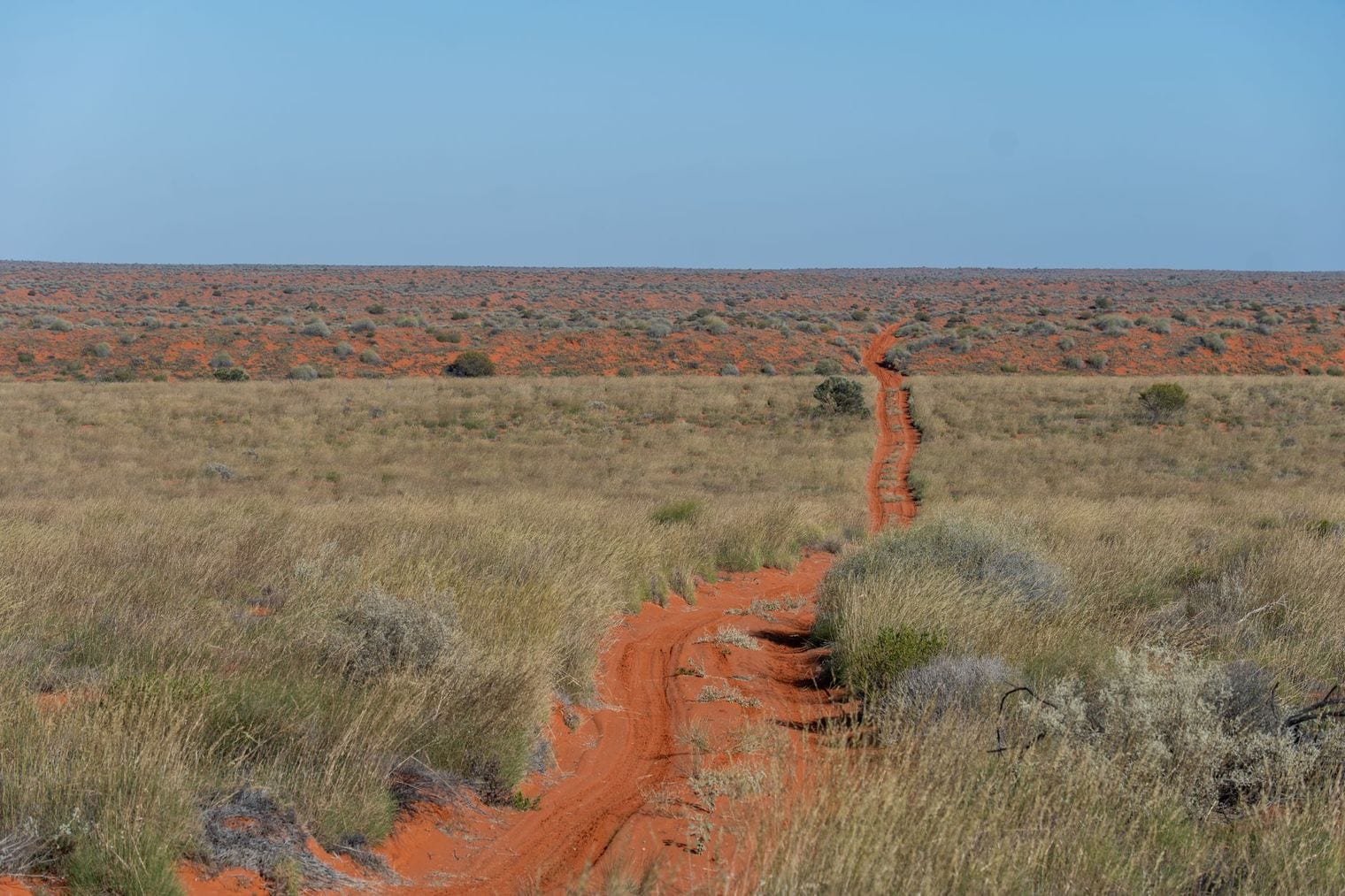 Munga-Thirri-Simpson Desert National Park, World