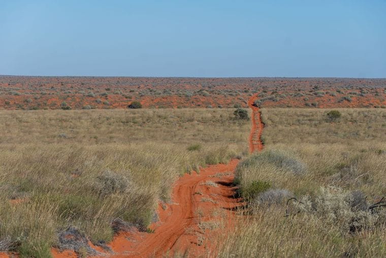 Munga-Thirri-Simpson Desert National Park