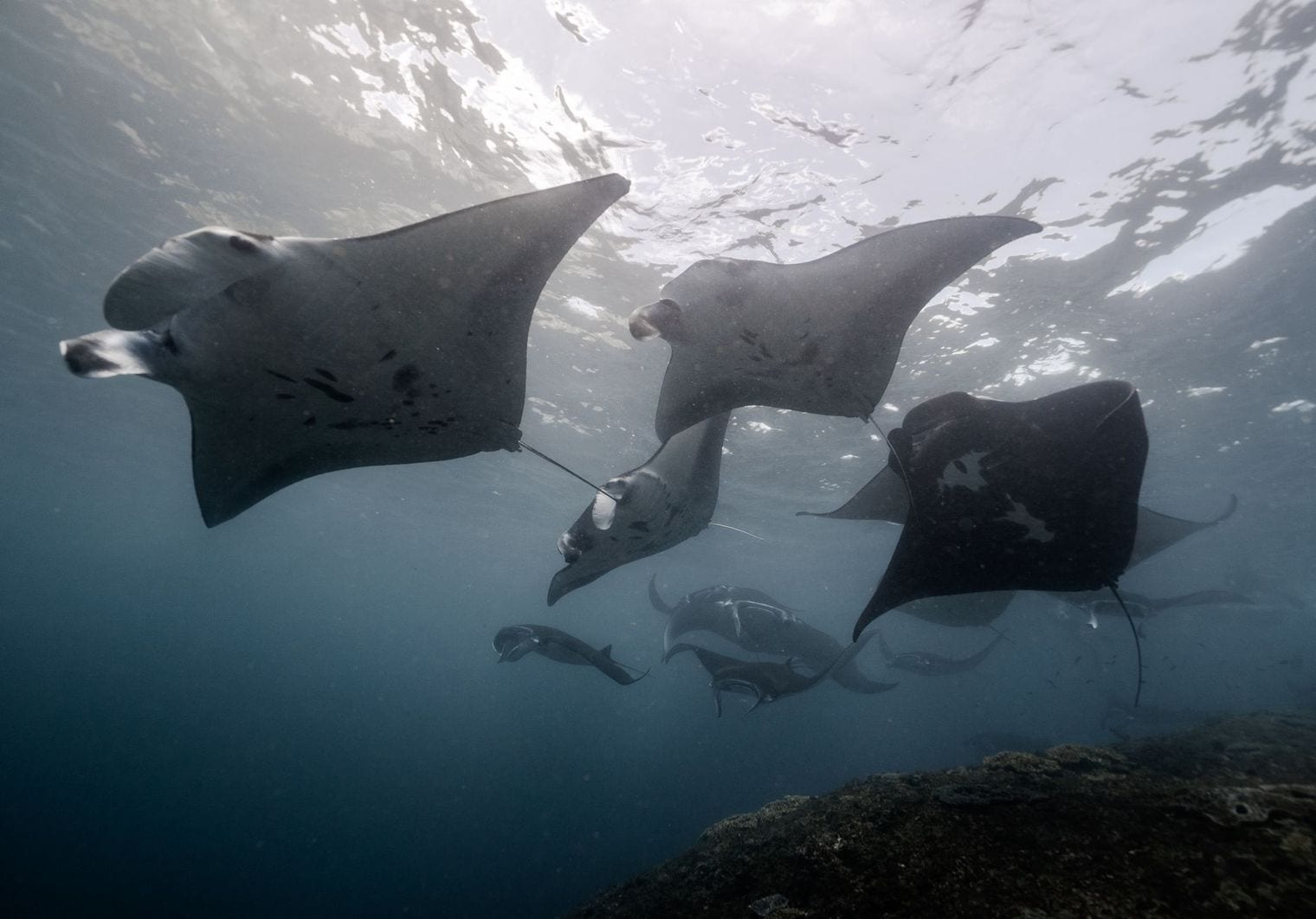 Revillagigedo National Park, World