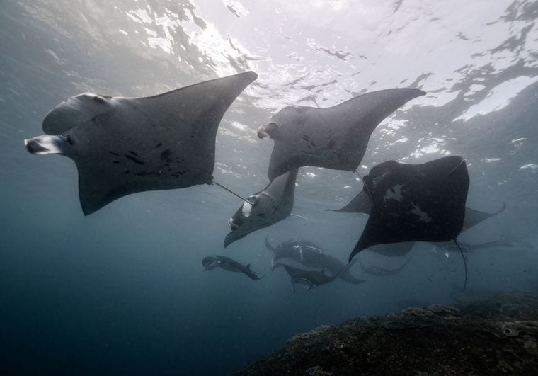 Revillagigedo National Park