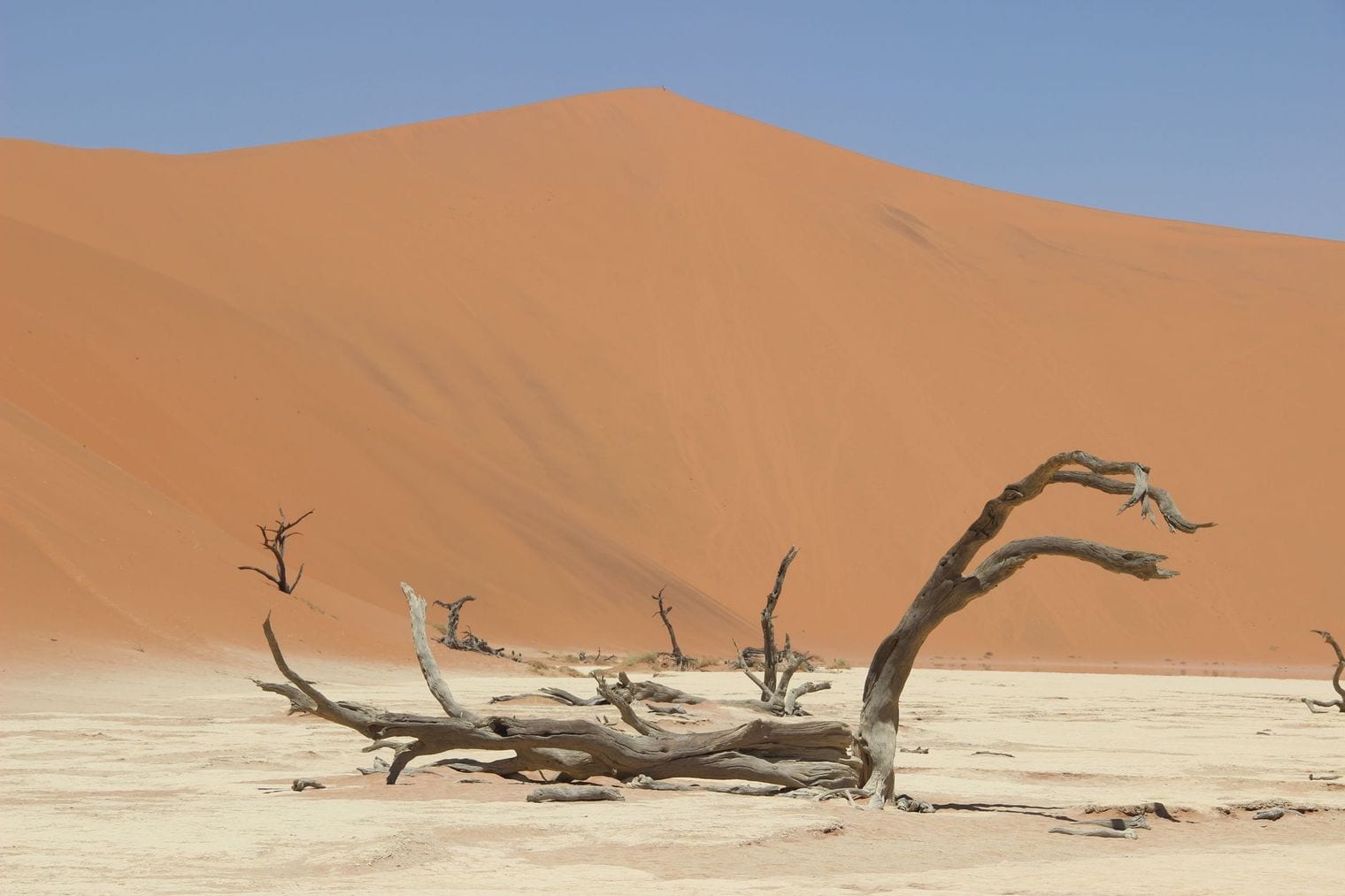 Namib-Naukluft National Park, World