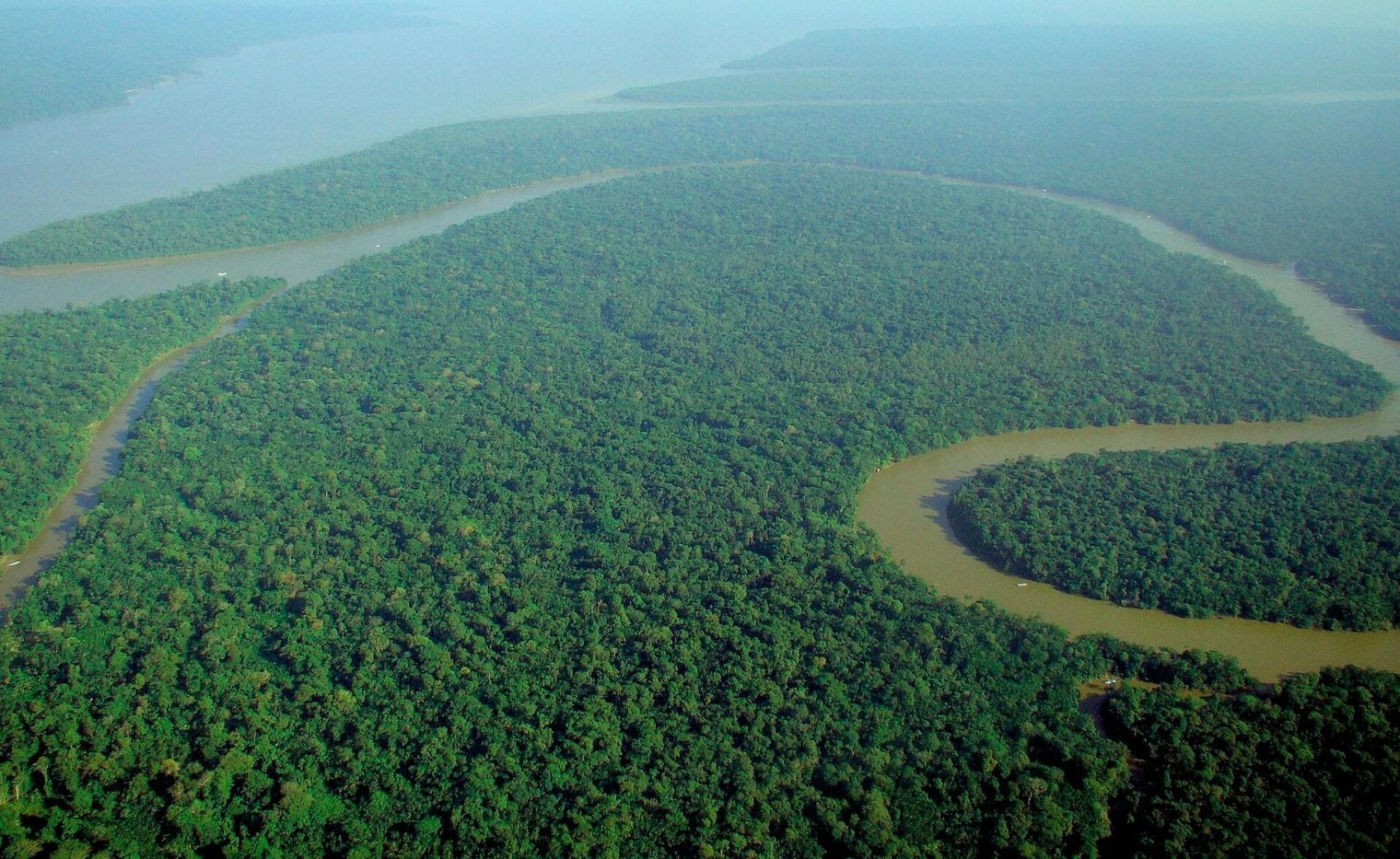 Amazon Rainforest, World