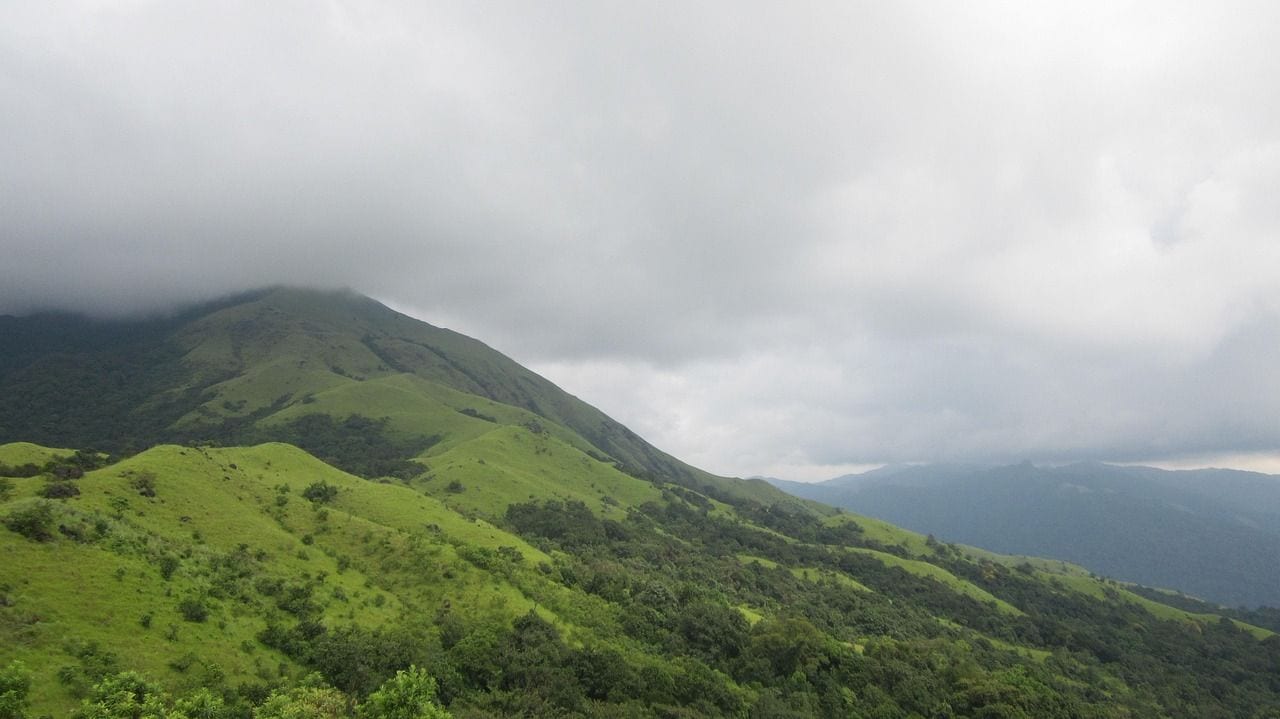 Western Ghats Rainforest, World