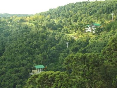 Atlantic Forest