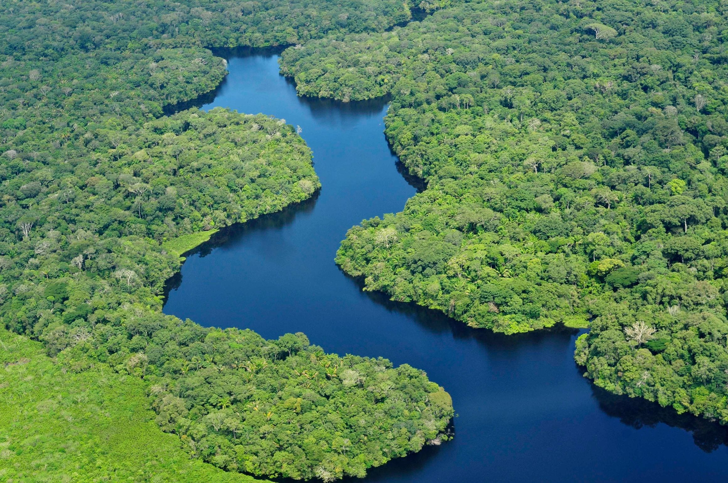 A dark river snaking through unbroken Amazon Rainforest canopy near Manaus in Amazonas, Brazil, seen from the air