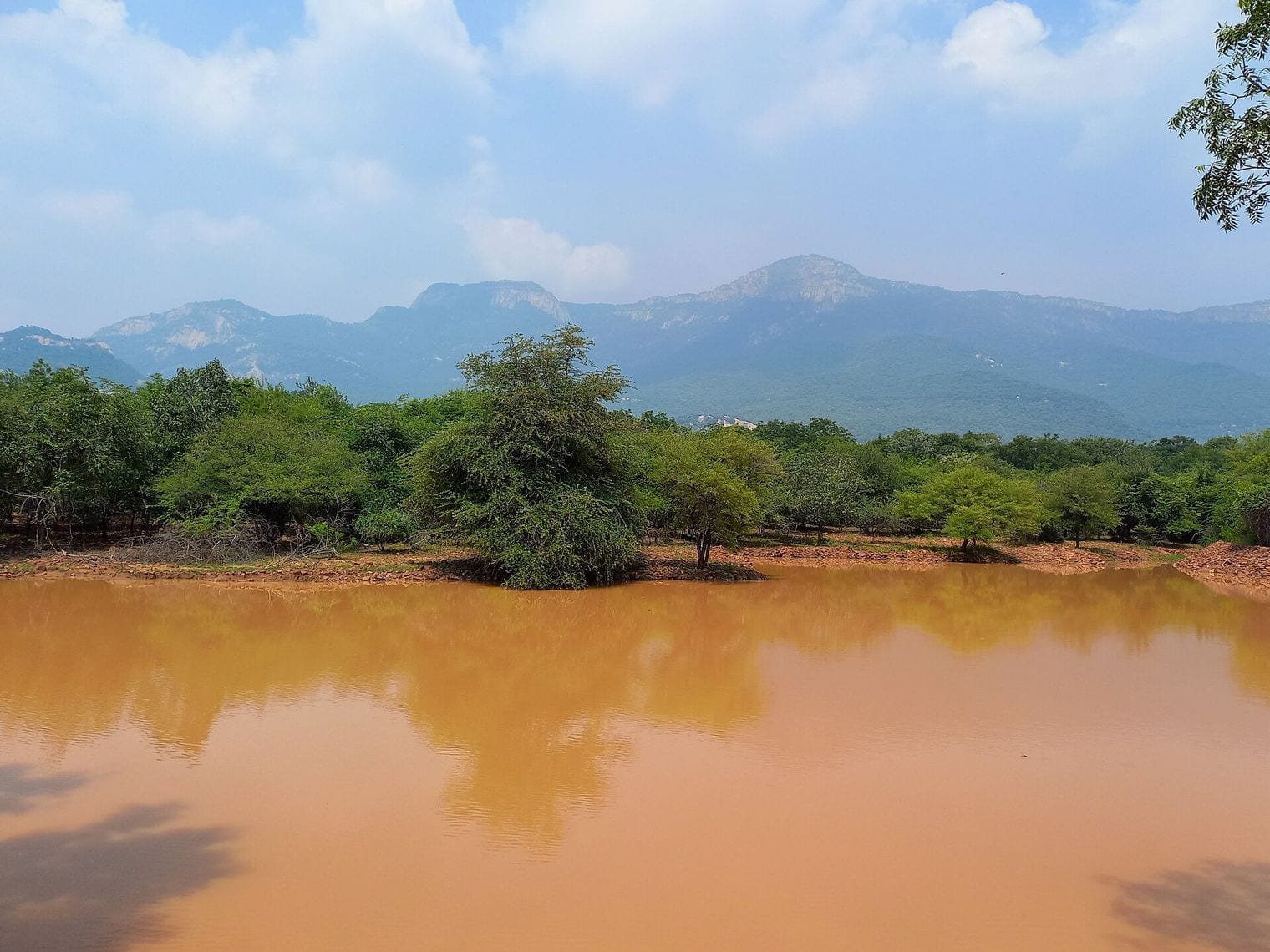 Sri Venkateswara Zoological Park, World