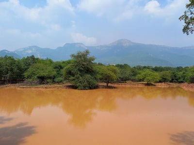 Sri Venkateswara Zoological Park