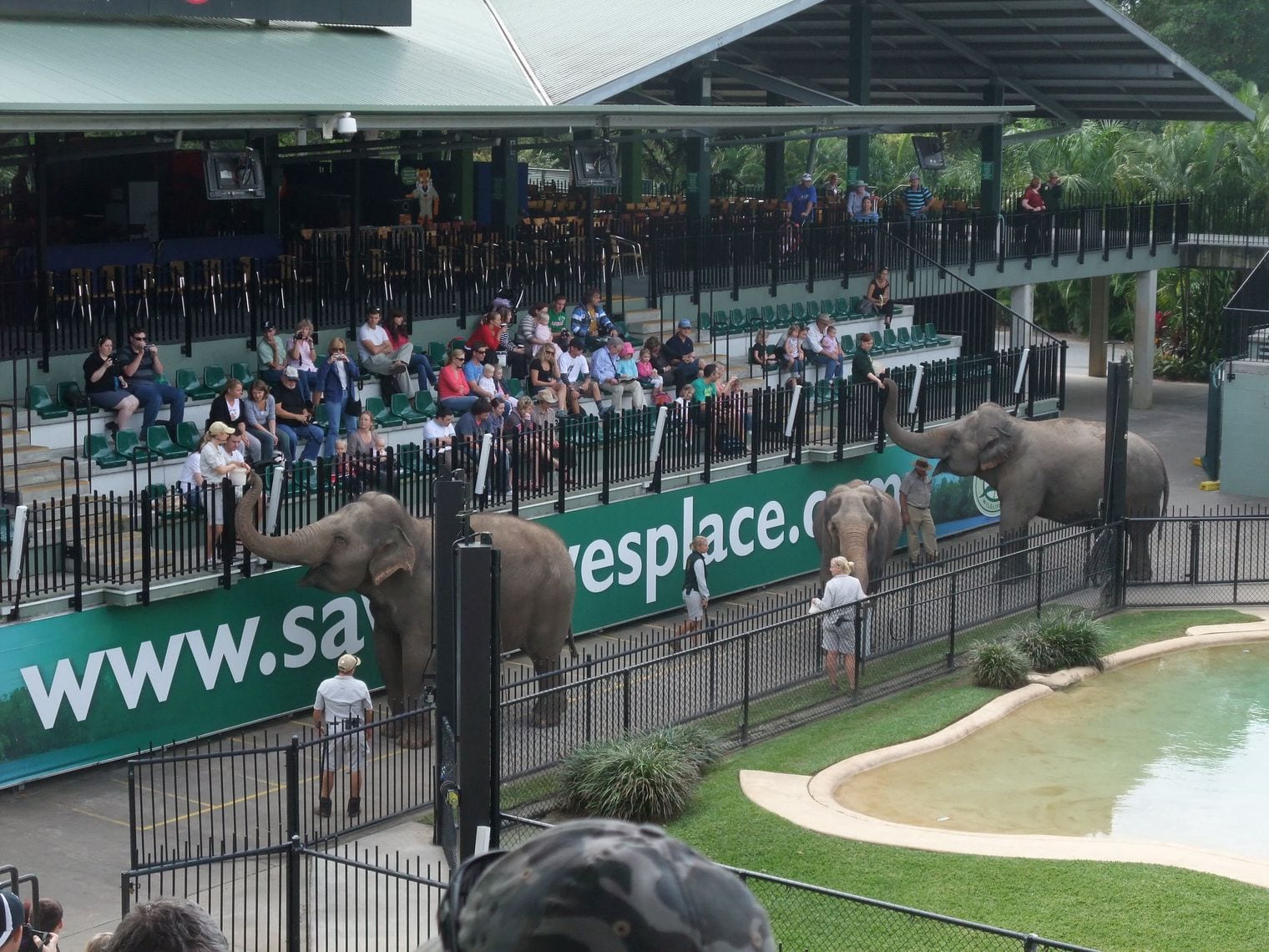 Australia Zoo, World