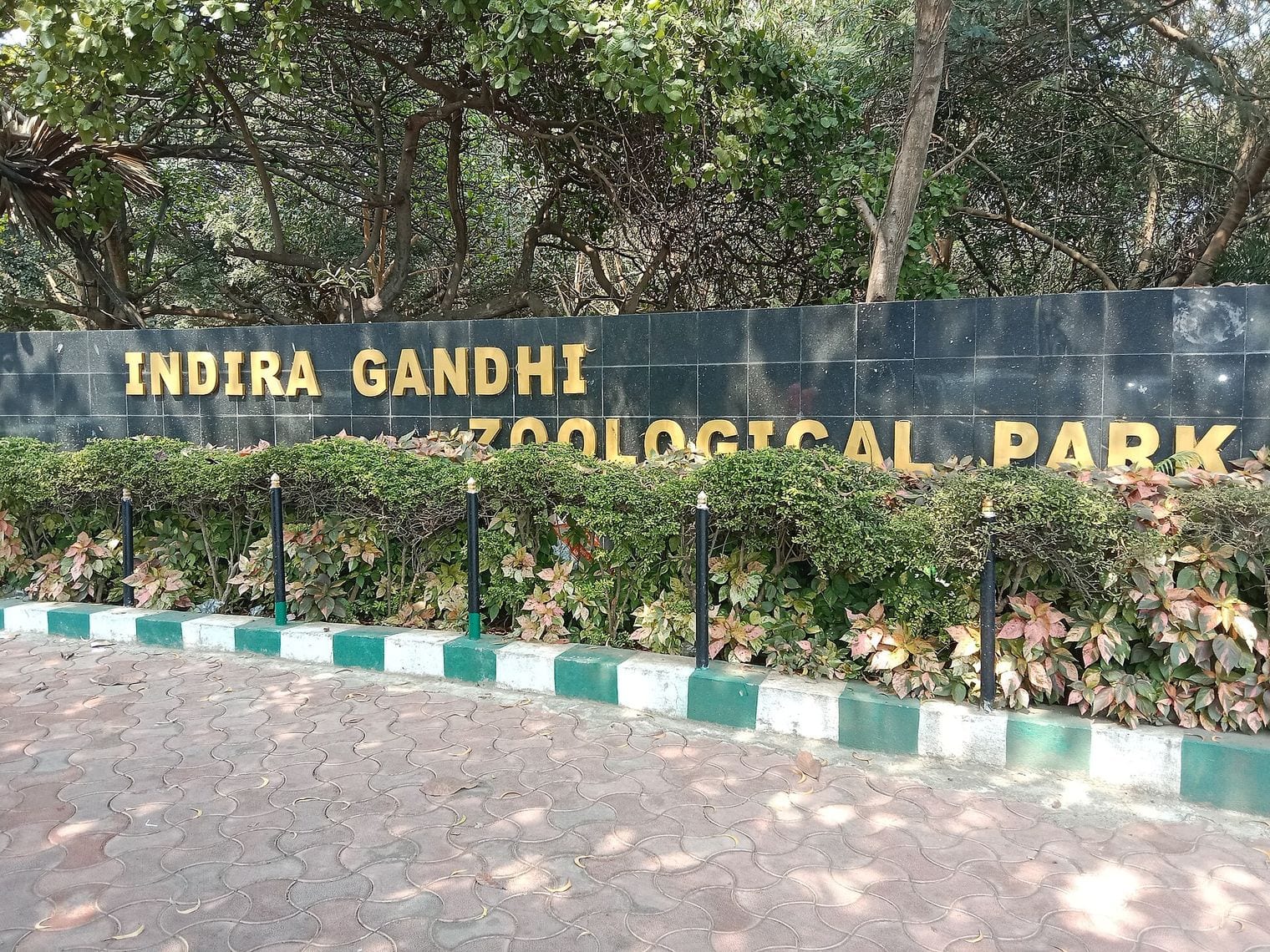 Indira Gandhi Zoological Park, World