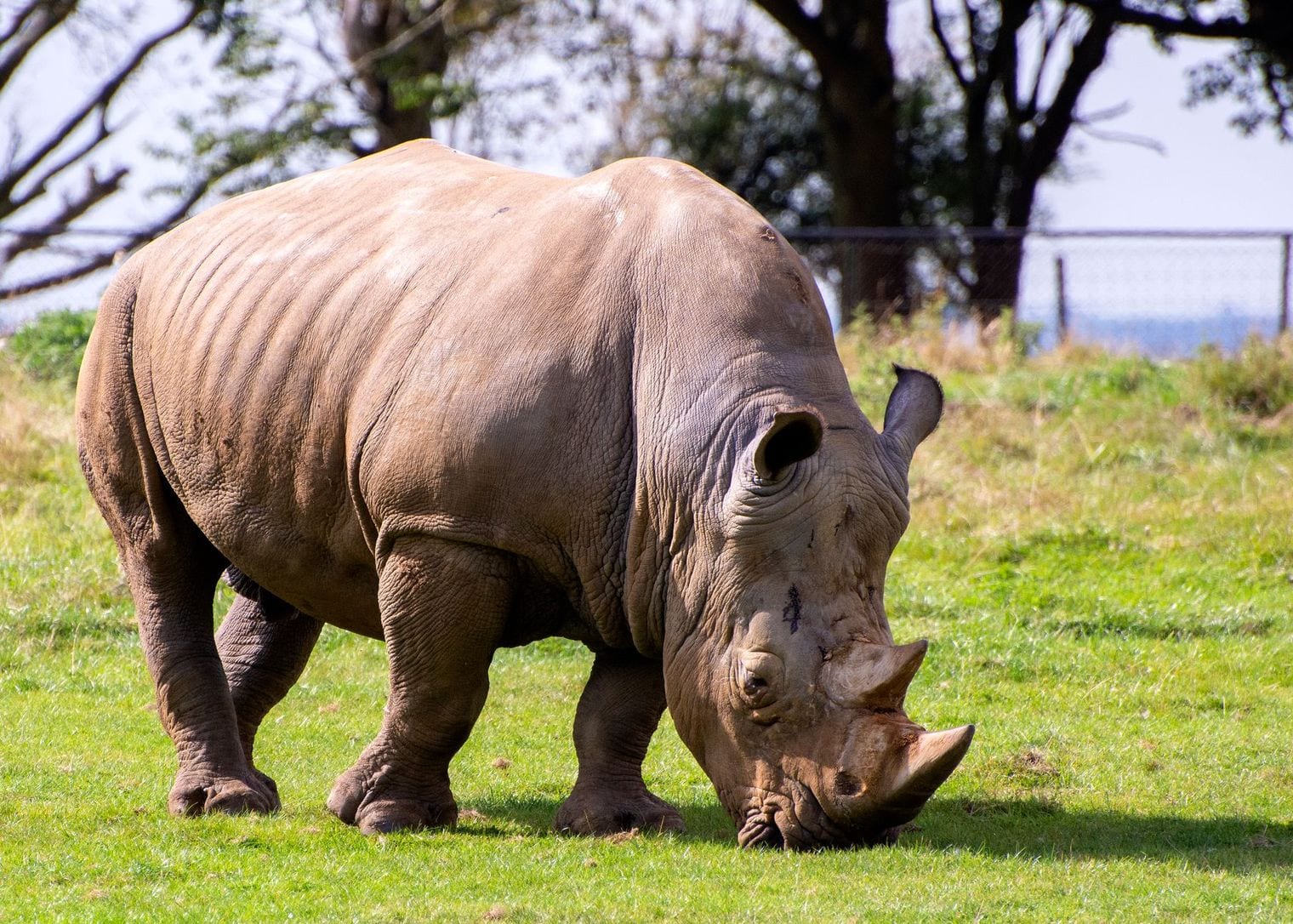 Whipsnade Zoo, World