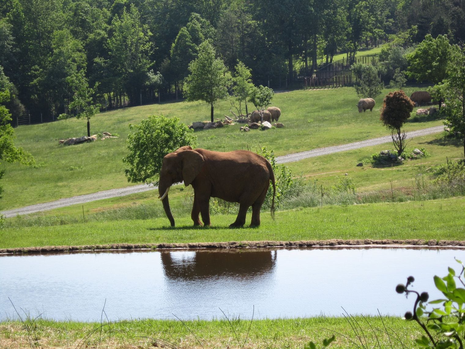 North Carolina Zoo, World