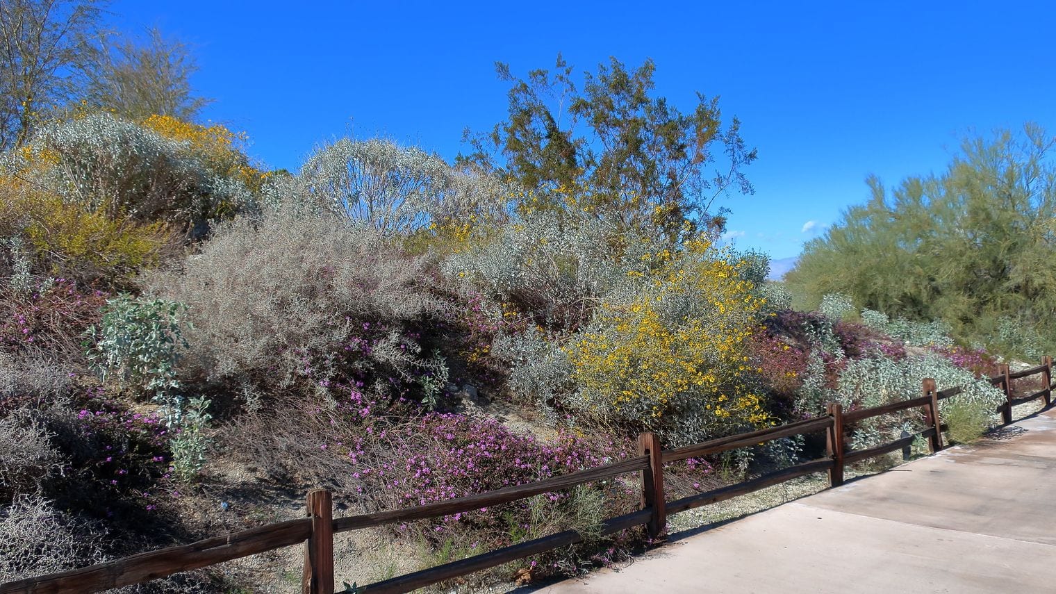 The Living Desert Zoo and Gardens, World