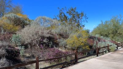 The Living Desert Zoo and Gardens