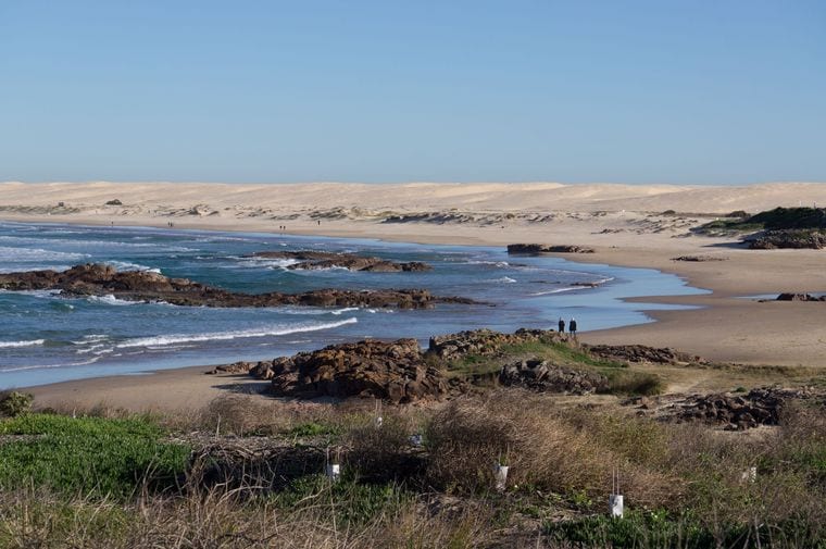 The Coorong