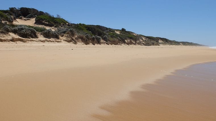 Ninety Mile Beach, Victoria