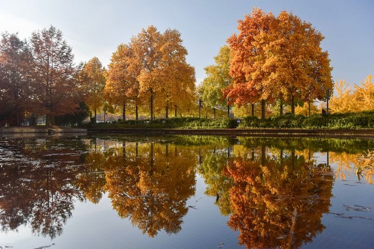 Marne-Rhine Canal