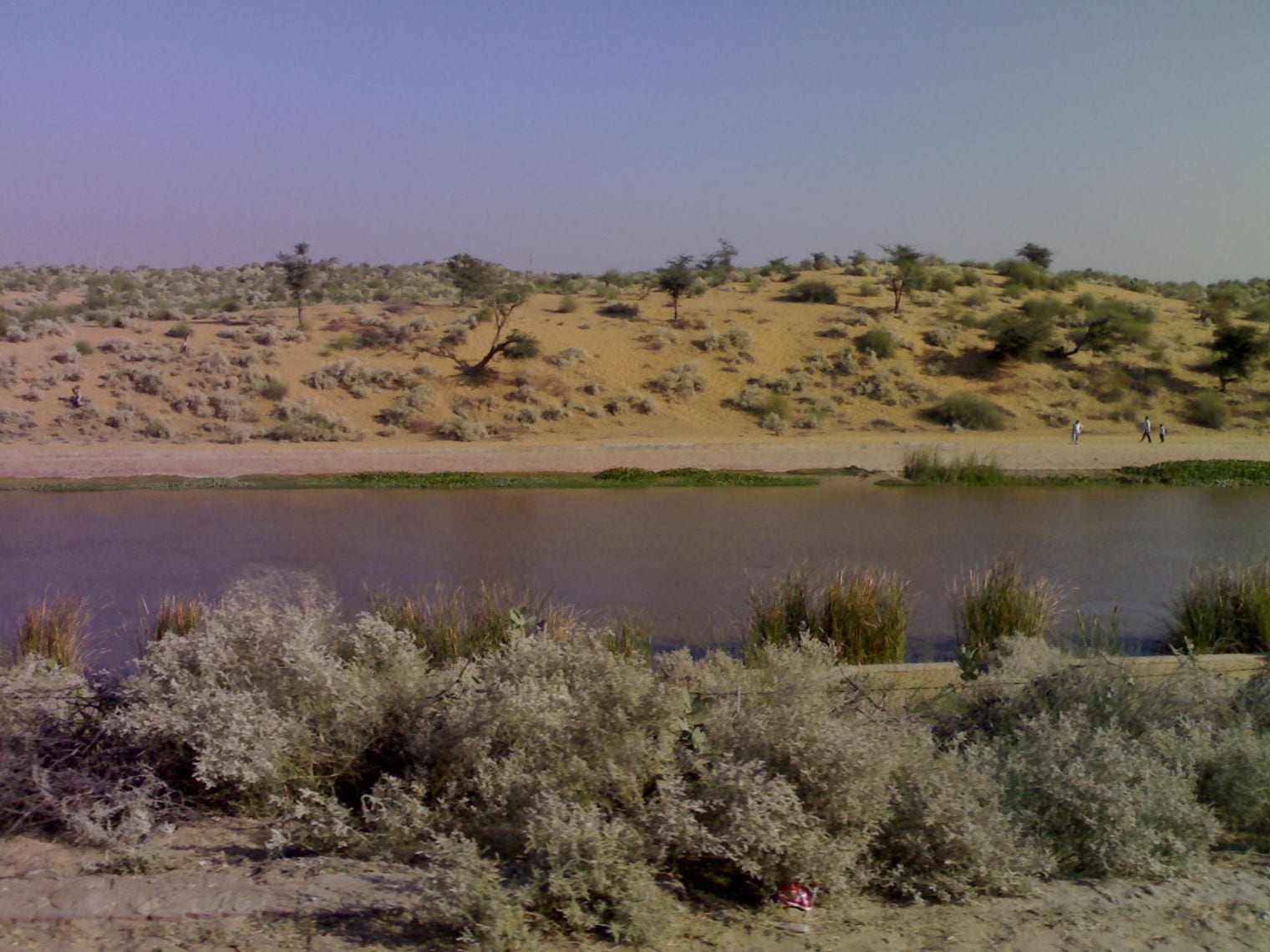 Indira Gandhi Canal, World