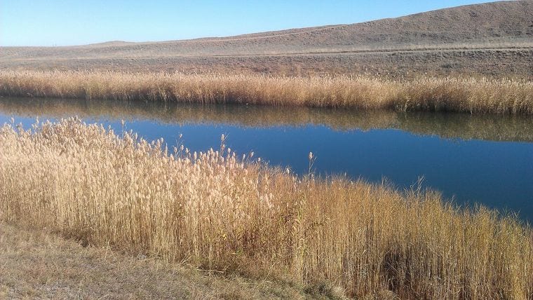 Irtysh-Karaganda Canal
