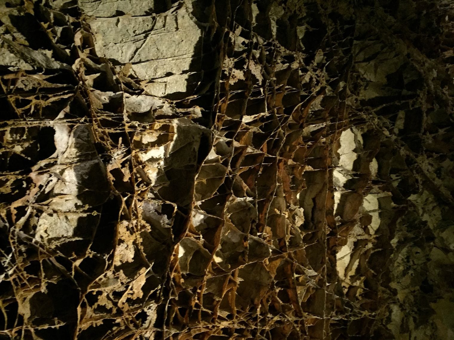 Wind Cave, World