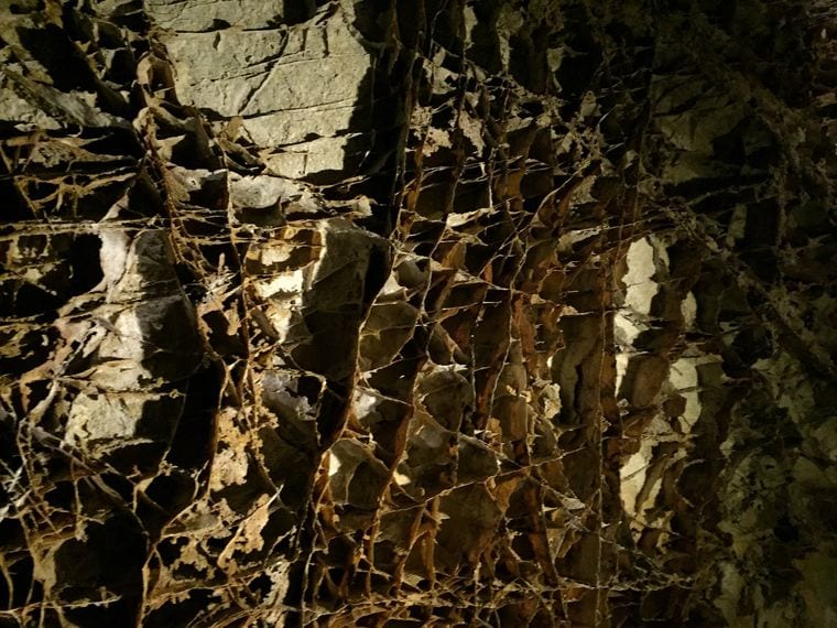 Wind Cave