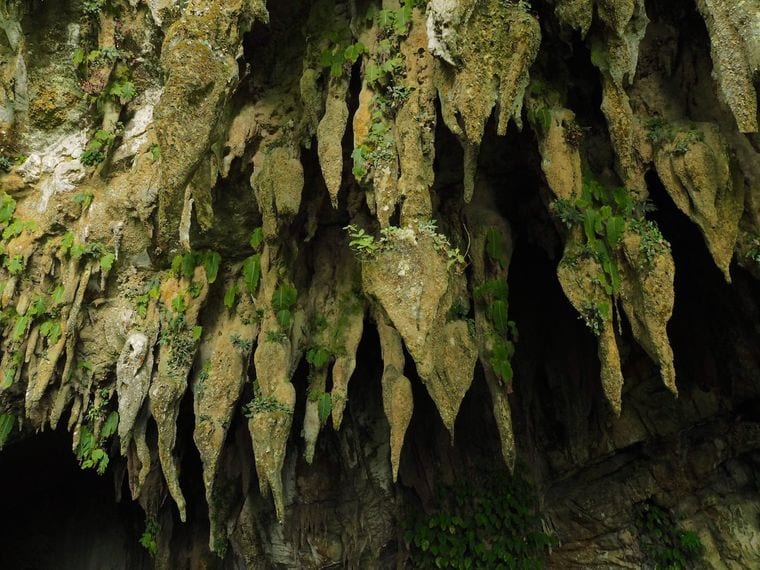 Clearwater Cave System