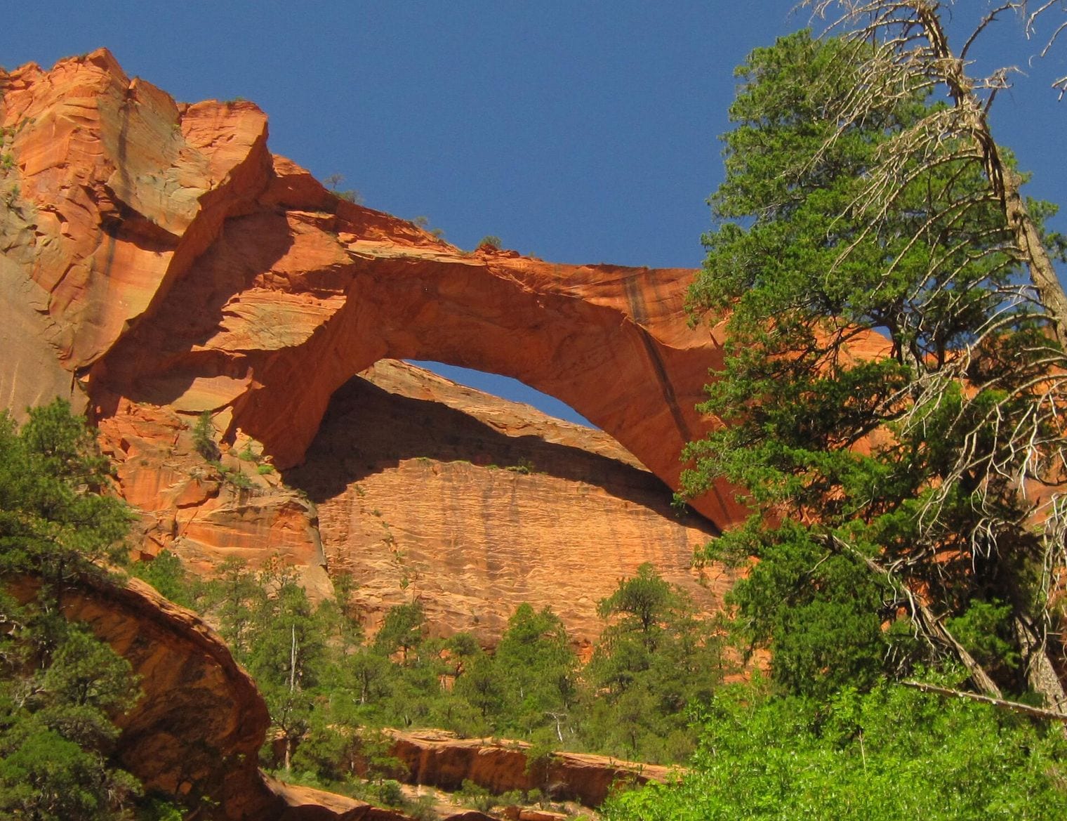 Kolob Arch, World