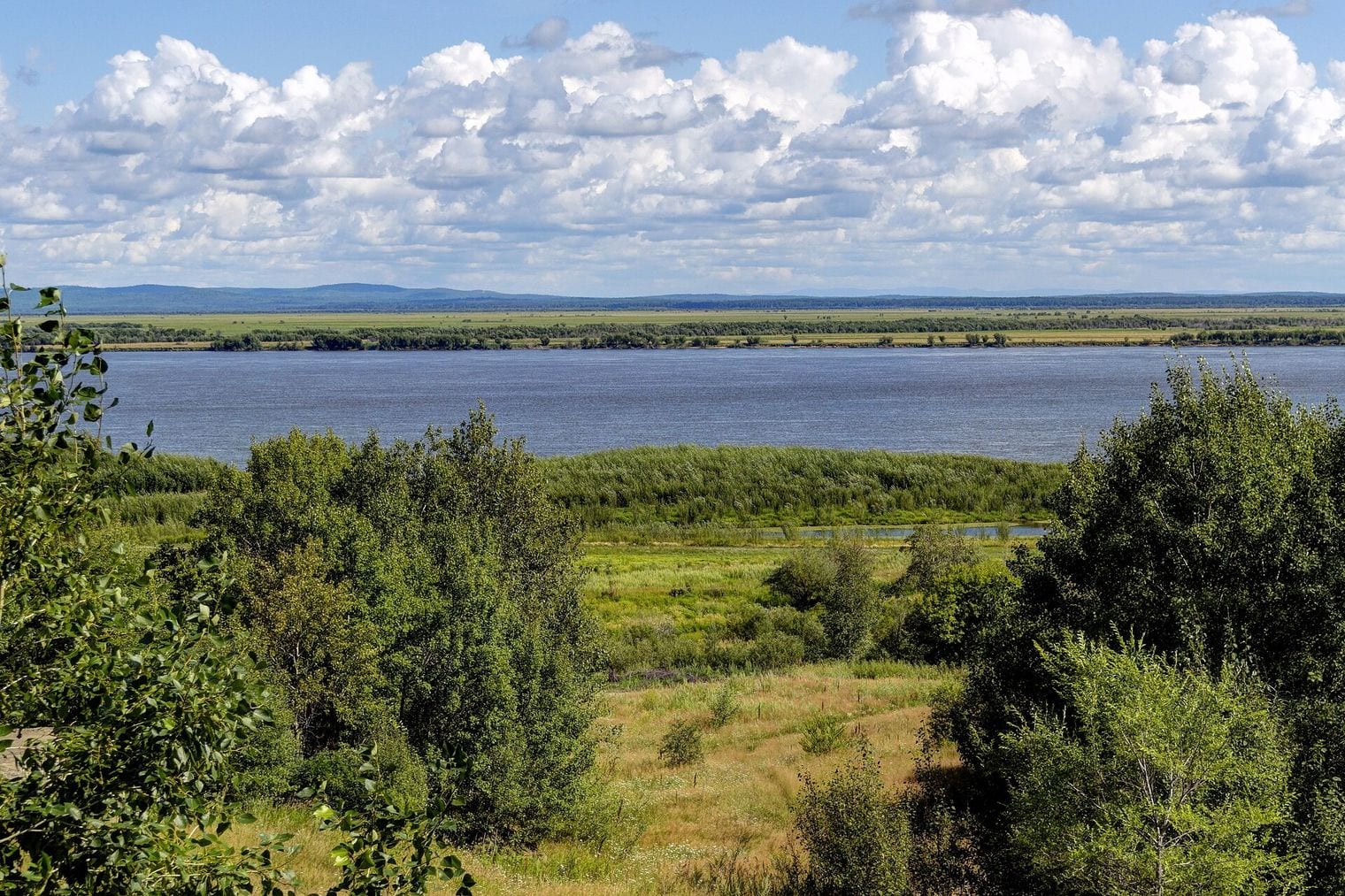 Amur–Argun, World