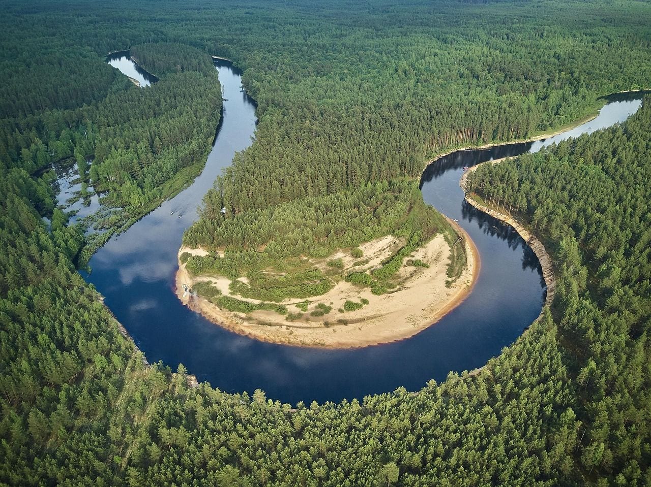 Aerial view of a dark river looping in a tight horseshoe meander around a broad sandbank, with dense green pine forest stretching to the horizon on every side.