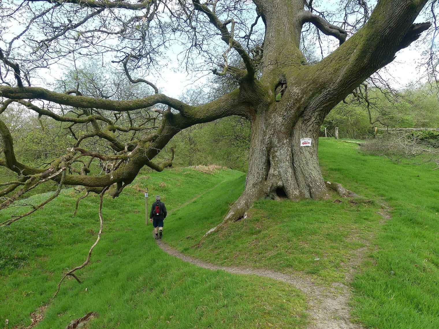 Offa's Dyke, World