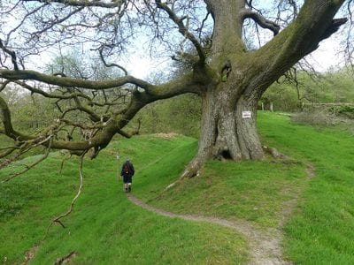 Offa's Dyke