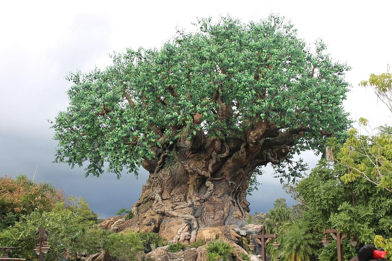 Disney's Animal Kingdom, World