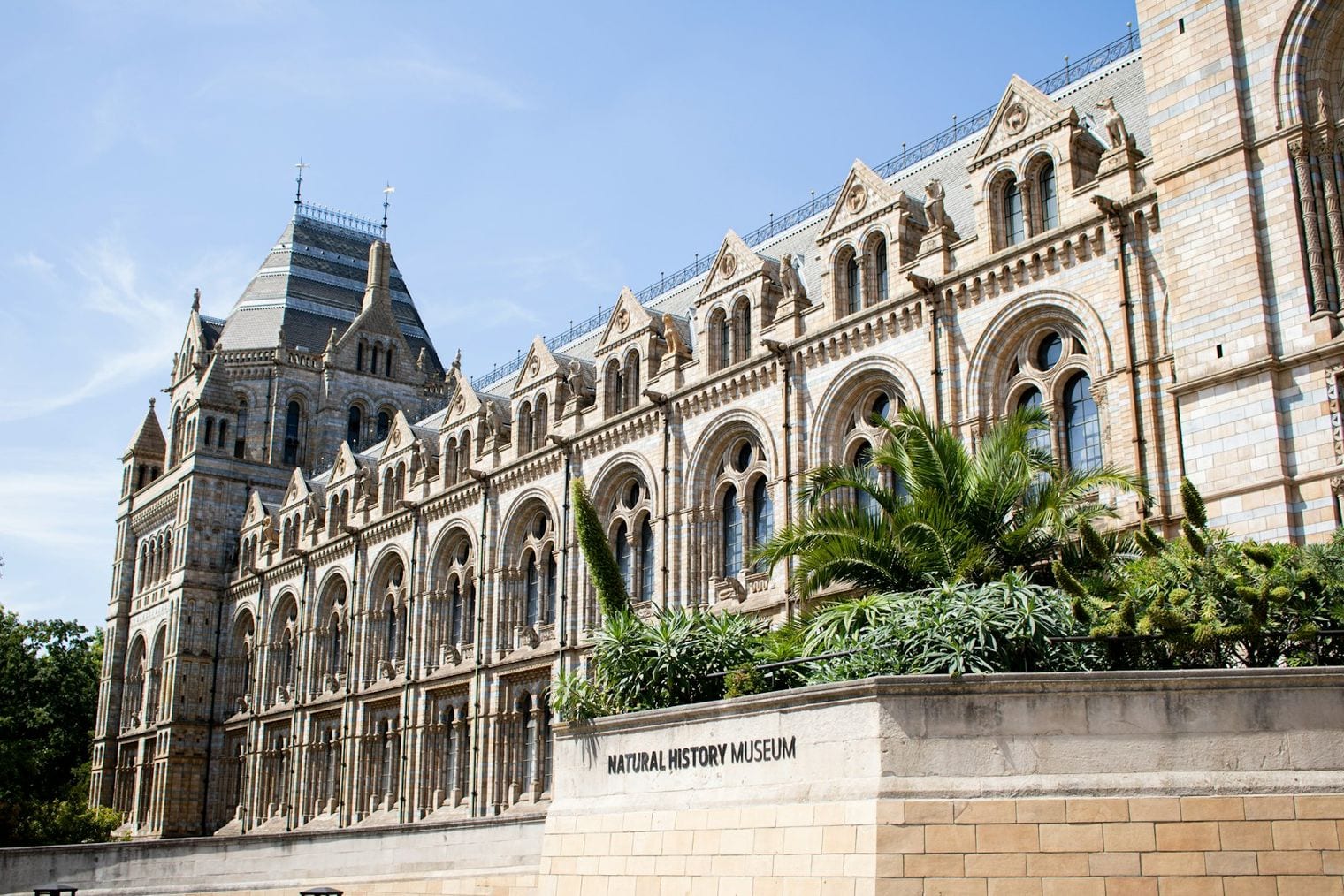 Natural History Museum, London, World